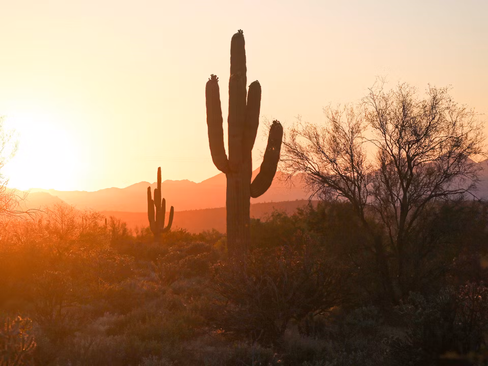 San Francisco to Phoenix